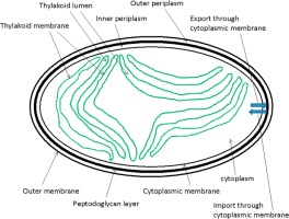 Recent articles – Dec 7th, 2018 – ORGANIC CHEMISTRY OF BIOLOGICAL SYSTEMS